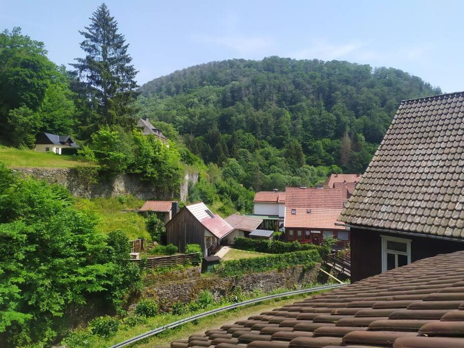 Haus Am Wald Zorge 16+ Gaeste Валькенрид Экстерьер фото