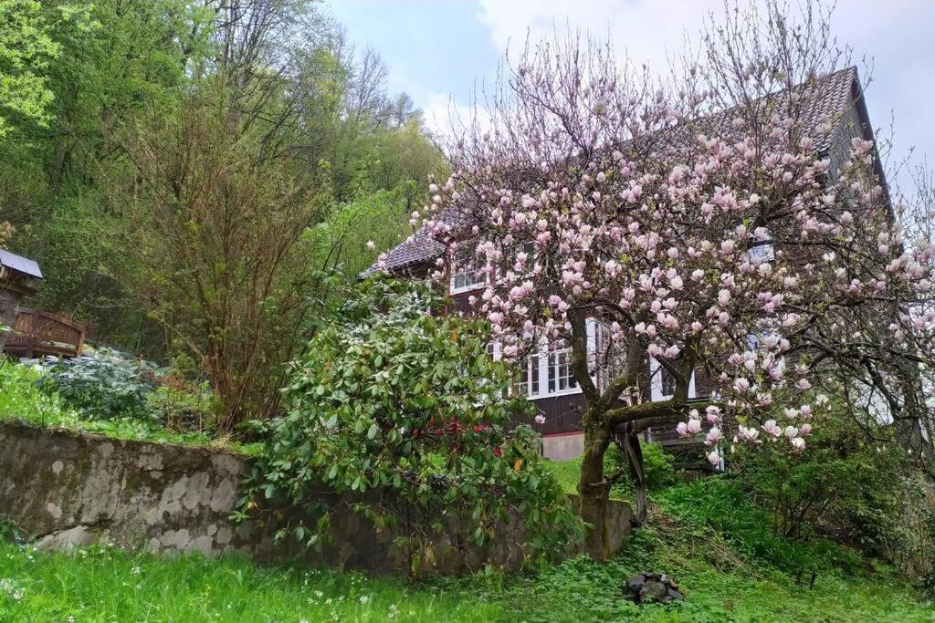 Haus Am Wald Zorge 16+ Gaeste Валькенрид Экстерьер фото