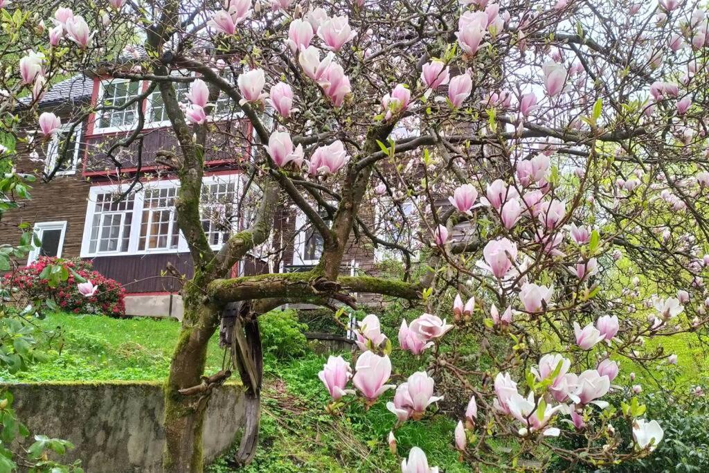 Haus Am Wald Zorge 16+ Gaeste Валькенрид Экстерьер фото